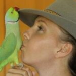 lv国际娱乐的历史与发展:从过去到现在 26x9bn19