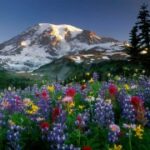 LV国际的经典包款与时尚潮流演变 2w8ae055kc