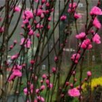 lv国际娱乐的社交媒体影响力:如何吸引更多游客 f7b5dwgq