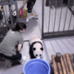 lv国际下载的优惠券获取与使用技巧 ht4onk