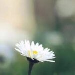 lv国际娱乐的家庭娱乐项目:适合各年龄段的乐趣 svbliu114j